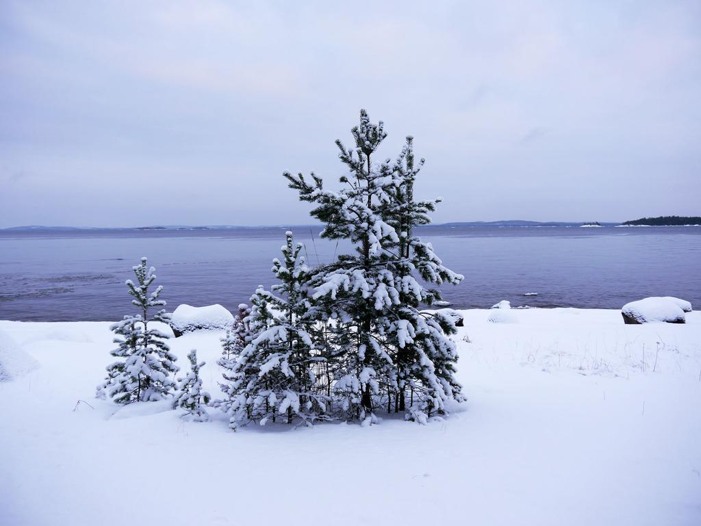 Pielislinna Kolinkylä المظهر الخارجي الصورة